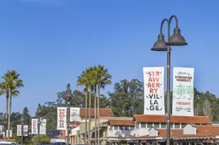 115 Eucalyptus Knoll St, Mill Valley, CA 94941 - Photo 39