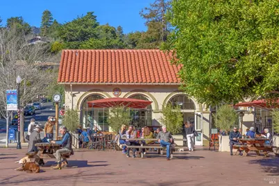 115 Eucalyptus Knoll Street, Mill Valley, CA 94941 - Photo 45