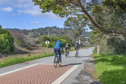 115 Eucalyptus Knoll Street, Mill Valley, CA 94941 - Photo 37