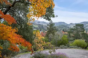 16 Dutch Valley Ln, San Anselmo, CA 94960 - Photo 45