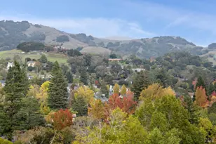 16 Dutch Valley Ln, San Anselmo, CA 94960 - Photo 23