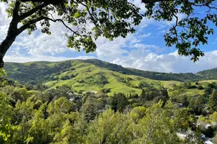 16 Dutch Valley Ln, San Anselmo, CA 94960 - Photo 39