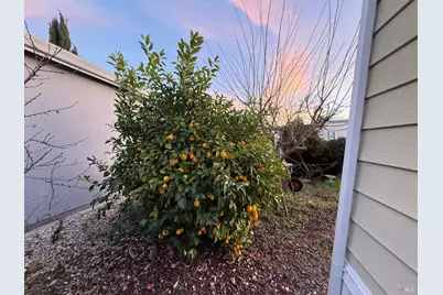 168 Shoreham Way, Santa Rosa, CA 95401 - Photo 31