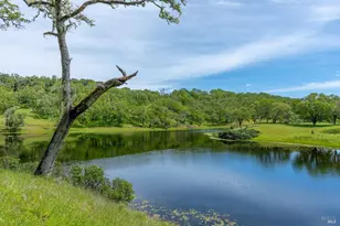 14495 Old River Rd, Hopland, CA 95449 - Photo 11