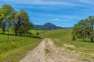 14495 Old River Rd, Hopland, CA 95449 - Photo 3