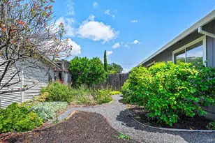431 University St, Healdsburg, CA 95448 - Photo 37