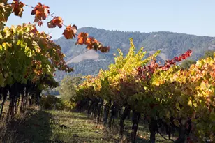 295 Sonoma Ridge Rd, Santa Rosa, CA 95404 - Photo 29