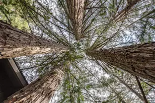 7456 Sir Francis Drake Blvd, Lagunitas, CA 94938 - Photo 75