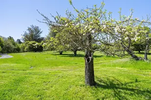 2485 Sanders Rd, Sebastopol, CA 95472 - Photo 57