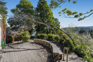 238 California Ave, Mill Valley, CA 94941 - Photo 41