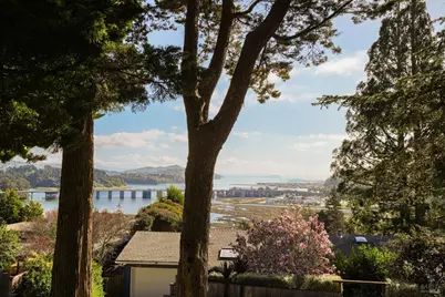 238 California Avenue, Mill Valley, CA 94941 - Photo 9