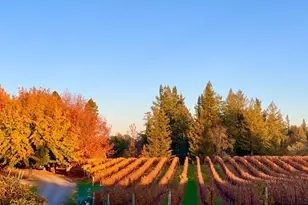 4605 Gravenstein Hwy, Sebastopol, CA 95472 - Photo 43