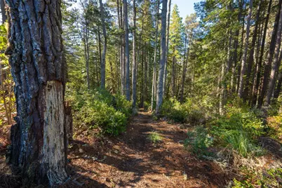 33300 Sea Forest Drive, The Sea Ranch, CA 95497 - Photo 43