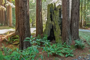 37162 Schooner Dr, The Sea Ranch, CA 95497 - Photo 33