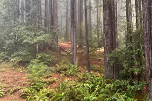 37162 Schooner Dr, The Sea Ranch, CA 95497 - Photo 37