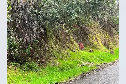 7022 Black Oak Street, Nice, CA 95464 - Photo 5