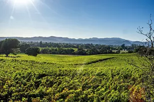 1095 Hardman Ave, Napa, CA 94558 - Photo 65