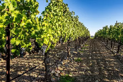 1095 Hardman Avenue, Napa, CA 94558 - Photo 15