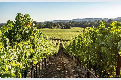 1095 Hardman Avenue, Napa, CA 94558 - Photo 13