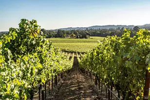 1095 Hardman Ave, Napa, CA 94558 - Photo 13