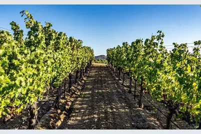 1095 Hardman Avenue, Napa, CA 94558 - Photo 11