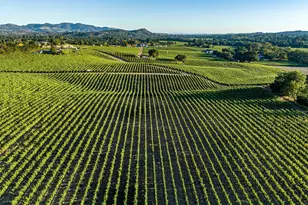 1095 Hardman Ave, Napa, CA 94558 - Photo 7