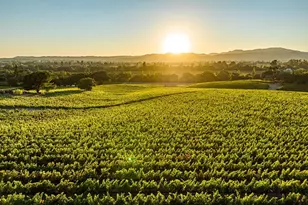 1095 Hardman Ave, Napa, CA 94558 - Photo 71