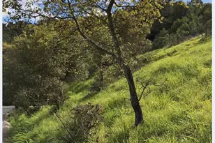 0 Coleman Dr, San Rafael, CA 94901 - Photo 1