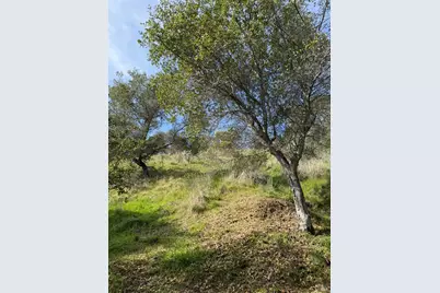 0 Coleman Drive, San Rafael, CA 94901 - Photo 3
