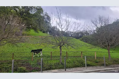 3183 Olympic Road, Fairfield, CA 94534 - Photo 29