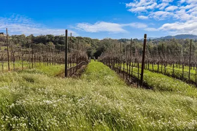 910 Lytton Springs Road, Healdsburg, CA 95448 - Photo 53