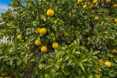 910 Lytton Springs Road, Healdsburg, CA 95448 - Photo 45