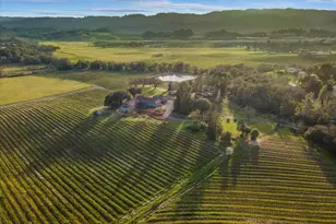 910 Lytton Springs Rd, Healdsburg, CA 95448 - Photo 3