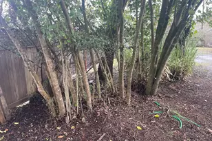 1280 Petaluma Blvd, Petaluma, CA 94952 - Photo 37