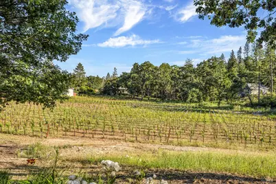 875 White Cottage Road, Angwin, CA 94508 - Photo 27