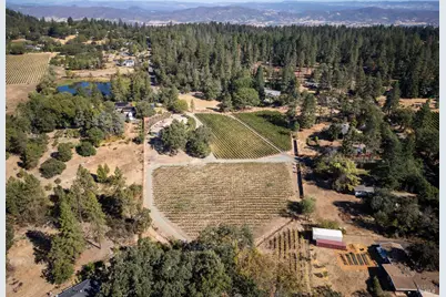 875 White Cottage Road, Angwin, CA 94508 - Photo 57