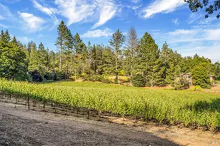 875 White Cottage Rd, Angwin, CA 94508 - Photo 29