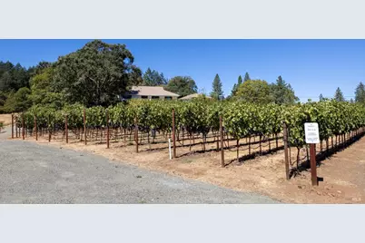 875 White Cottage Road, Angwin, CA 94508 - Photo 9