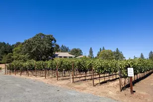 875 White Cottage Rd, Angwin, CA 94508 - Photo 9