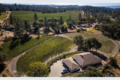 875 White Cottage Road, Angwin, CA 94508 - Photo 5