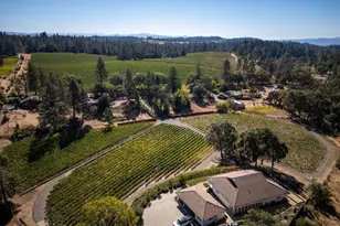 875 White Cottage Rd, Angwin, CA 94508 - Photo 5