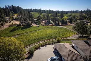 875 White Cottage Rd, Angwin, CA 94508 - Photo 11