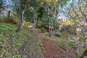 405 Laverne Ave, Mill Valley, CA 94941 - Photo 63