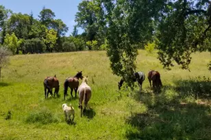 5510 Parducci Rd, Ukiah, CA 95482 - Photo 75