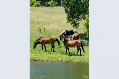 5510 Parducci Road, Ukiah, CA 95482 - Photo 79