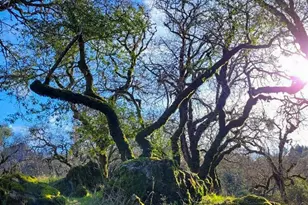 5510 Parducci Rd, Ukiah, CA 95482 - Photo 77