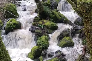 5510 Parducci Rd, Ukiah, CA 95482 - Photo 85