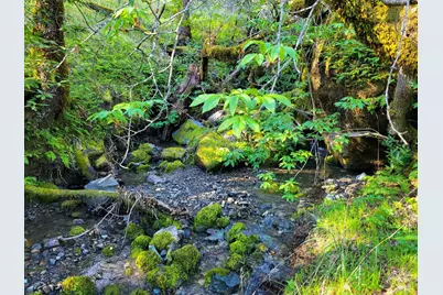 5510 Parducci Road, Ukiah, CA 95482 - Photo 89