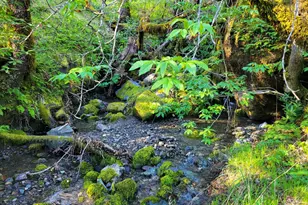 5510 Parducci Rd, Ukiah, CA 95482 - Photo 89