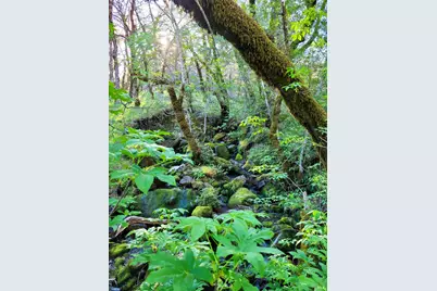 5510 Parducci Road, Ukiah, CA 95482 - Photo 91